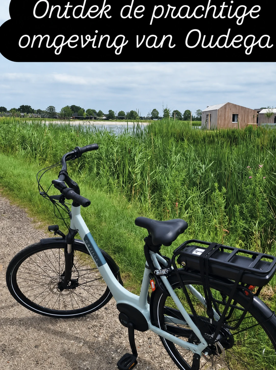 Gazelle e-bike met uitzicht over de omgeving van Oudega