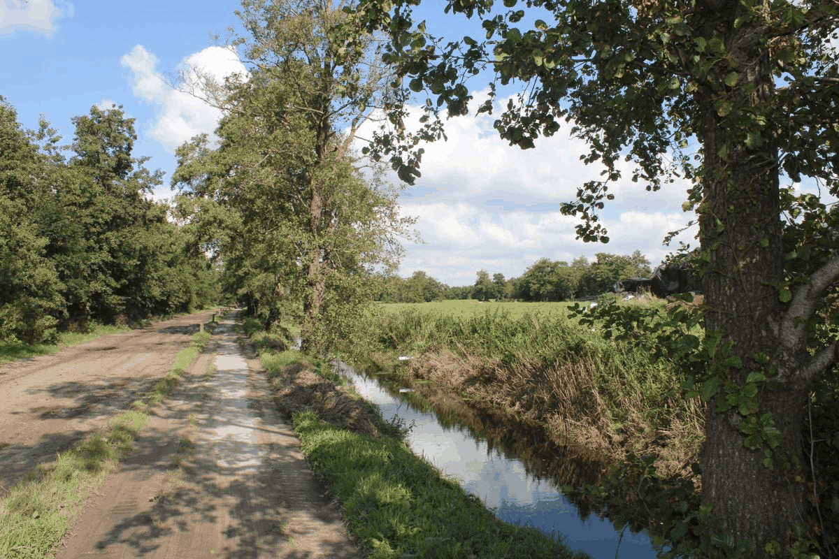 Rustige landweg op de Water & Dorpen-route bij Oudega (Smallingerland)